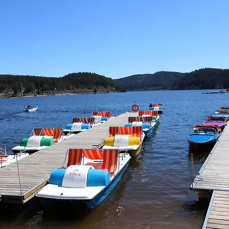 - Le Petit Mit Pool Und Sauna * Schluchsee